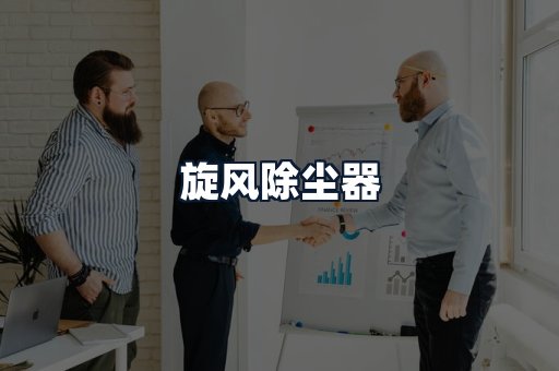 旋风除尘器